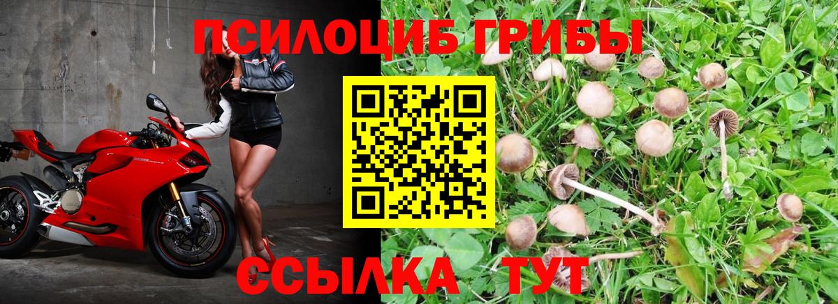 Псилоцибиновые грибы Magic Shrooms  Вход с VPN  Кимры 